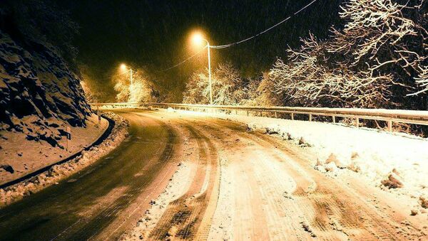 Снег выпал в пригороде Тбилиси - Sputnik Грузия