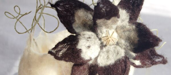 Изделие из непряденной шерсти - Sputnik Грузия