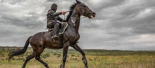 მხედარი მხედარი - Sputnik საქართველო