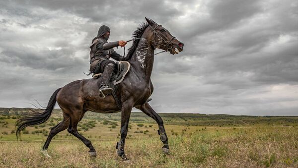 Воин в кольчуге на коне на фотографии Вано Пицхелаури - Sputnik Грузия