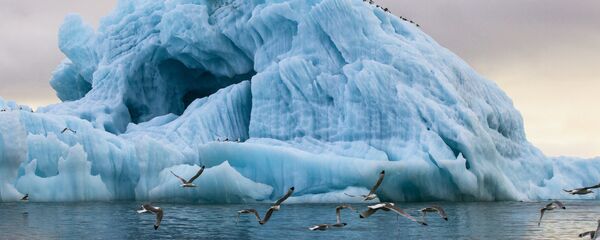 ეროვნული პარკი „რუსული არქტიკა“ ეროვნული პარკი „რუსული არქტიკა“ - Sputnik საქართველო