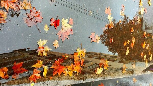 ცირა ბარბაქაძის ფოტო ცირა ბარბაქაძის ფოტო - Sputnik საქართველო