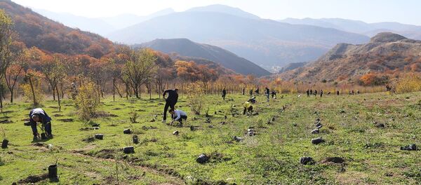 Проект озеленения департамента автомобильных дорог министерства регионального развития и инфраструктуры Грузии Проект озеленения департамента автомобильных дорог министерства регионального развития и инфраструктуры Грузии - Sputnik Грузия
