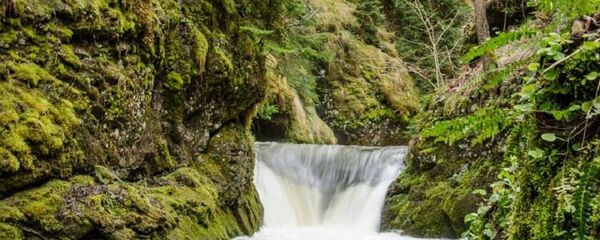 Боржоми-Харагаульский национальный парк - Sputnik Грузия