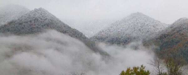 მაჭახელას ეროვნული პარკი მაჭახელას ეროვნული პარკი - Sputnik საქართველო