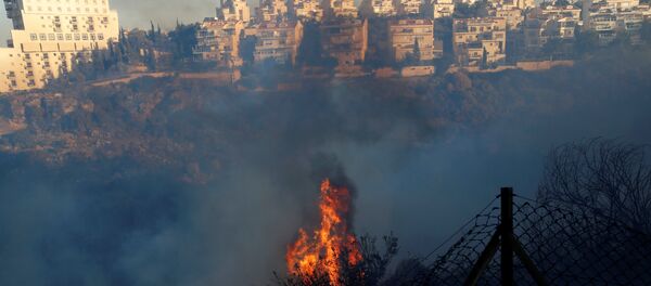 Лесной пожар на севере Хаифы, Израиль - Sputnik Грузия