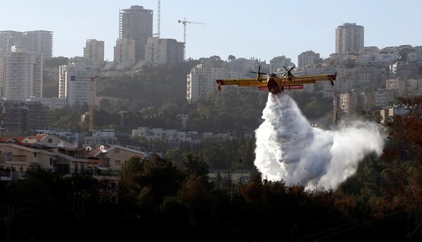 Пожарный самолет участвует в ликвидации лесного пожара под Хайфой в Израиле - Sputnik Грузия