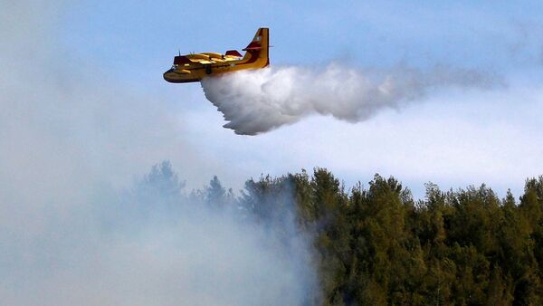 Пожарный самолет тушит пожар в ласах близ Иерусалима - Sputnik Грузия