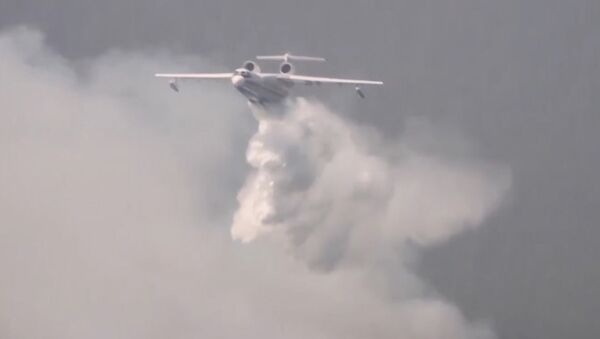 Тушение пожаров в Израиле: самолеты МЧС РФ борются со стихией в районе Хайфы - Sputnik Грузия