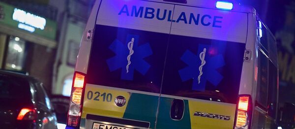 სასწრაფო სასწრაფო - Sputnik საქართველო