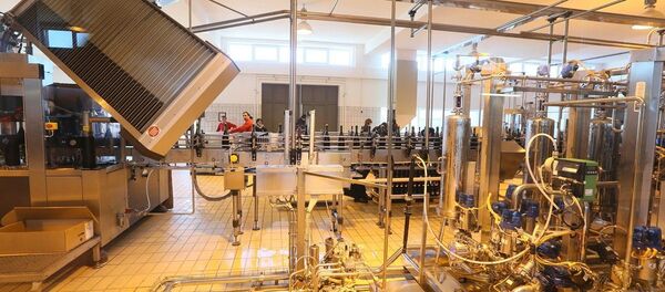 Винный завод компании Бадагони - Sputnik Грузия