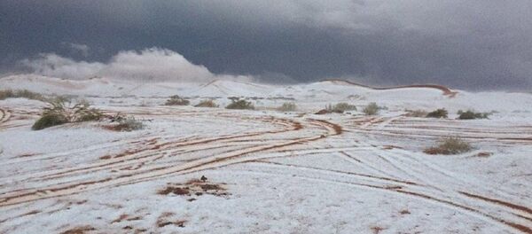 Снег в пустыне Аравийского полуострова - Sputnik Грузия