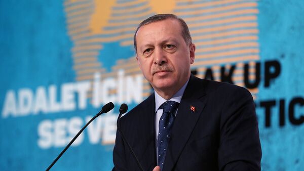 Президент Турции Реджеп Тайип Эрдоган выступает на конференции в Стамбуле - Sputnik Грузия