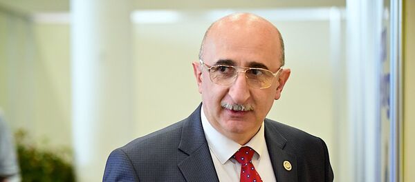 Генеральный директор компании Юниверс Бизнес Груп Роман Бадалян - Sputnik Грузия