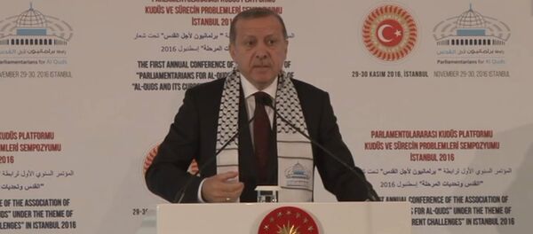 Эрдоган назвал свержение Асада целью военной операции Турции в Сирии - Sputnik Грузия