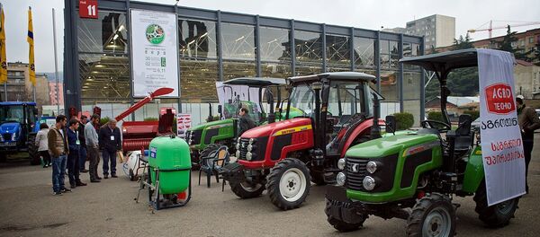 Международная сельскохозяйственная выставка в столице Грузии - Sputnik Грузия