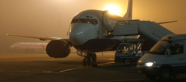 Самолет на стоянке в аэропорту Домодедово во время плохой погоды - Sputnik Грузия