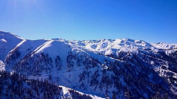 ბახმარო ბახმარო - Sputnik საქართველო