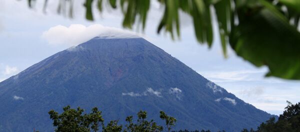 Виды Бали - Sputnik Грузия