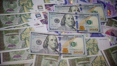 Купюры достоинством сто долларов и сто лари