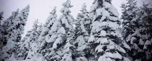 გოდერძის უღელტეხილი - Sputnik საქართველო