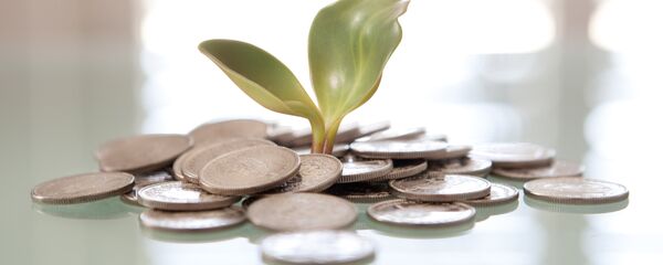 ფულს არ შეუძლია ფიქრი, საუბარი, მაგრამ შეუძლია „გაიგონოს“, როდესაც ადამიანი ეძახის მას ფულს არ შეუძლია ფიქრი, საუბარი, მაგრამ შეუძლია „გაიგონოს“, როდესაც ადამიანი ეძახის მას - Sputnik საქართველო