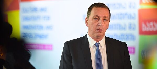 კულტურის და ძეგლთა დაცვის მინისტრი მიხეილ გიორგაძე კულტურის და ძეგლთა დაცვის მინისტრი მიხეილ გიორგაძე - Sputnik საქართველო