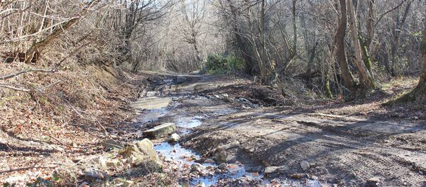 Проселочная дорога в Ахметском районе Грузии Проселочная дорога в Ахметском районе Грузии - Sputnik Грузия
