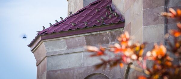 სამების ბაღი სამების ბაღი - Sputnik საქართველო