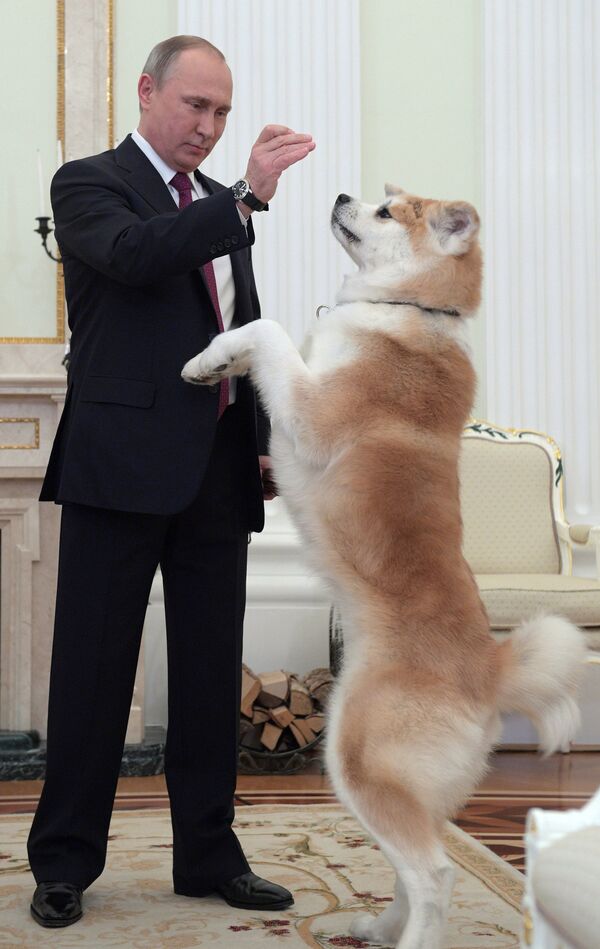 Интервью президента РФ В. Путина телекомпании Ниппон и газете Иомиури - Sputnik Грузия