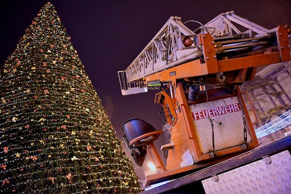 Монтаж освещения на главной новогодней елке Грузии вступил в завершающую фазу - рабочие спешат, скоро Новый год! - Sputnik Грузия