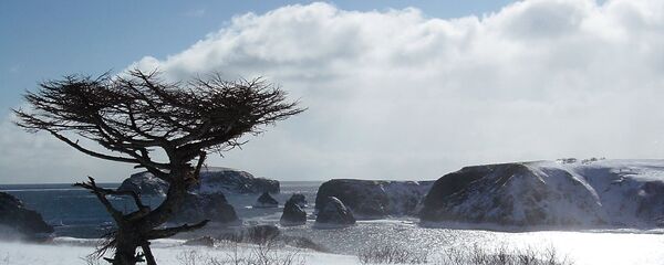 Шикотан - самый крупный остров Малой Курильской гряды Курильских островов - Sputnik Грузия