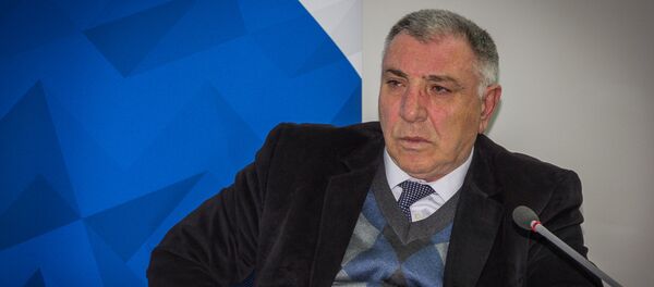 Эксперт рассказал, что даст Грузии безвизовый режим с ЕС - Sputnik Грузия