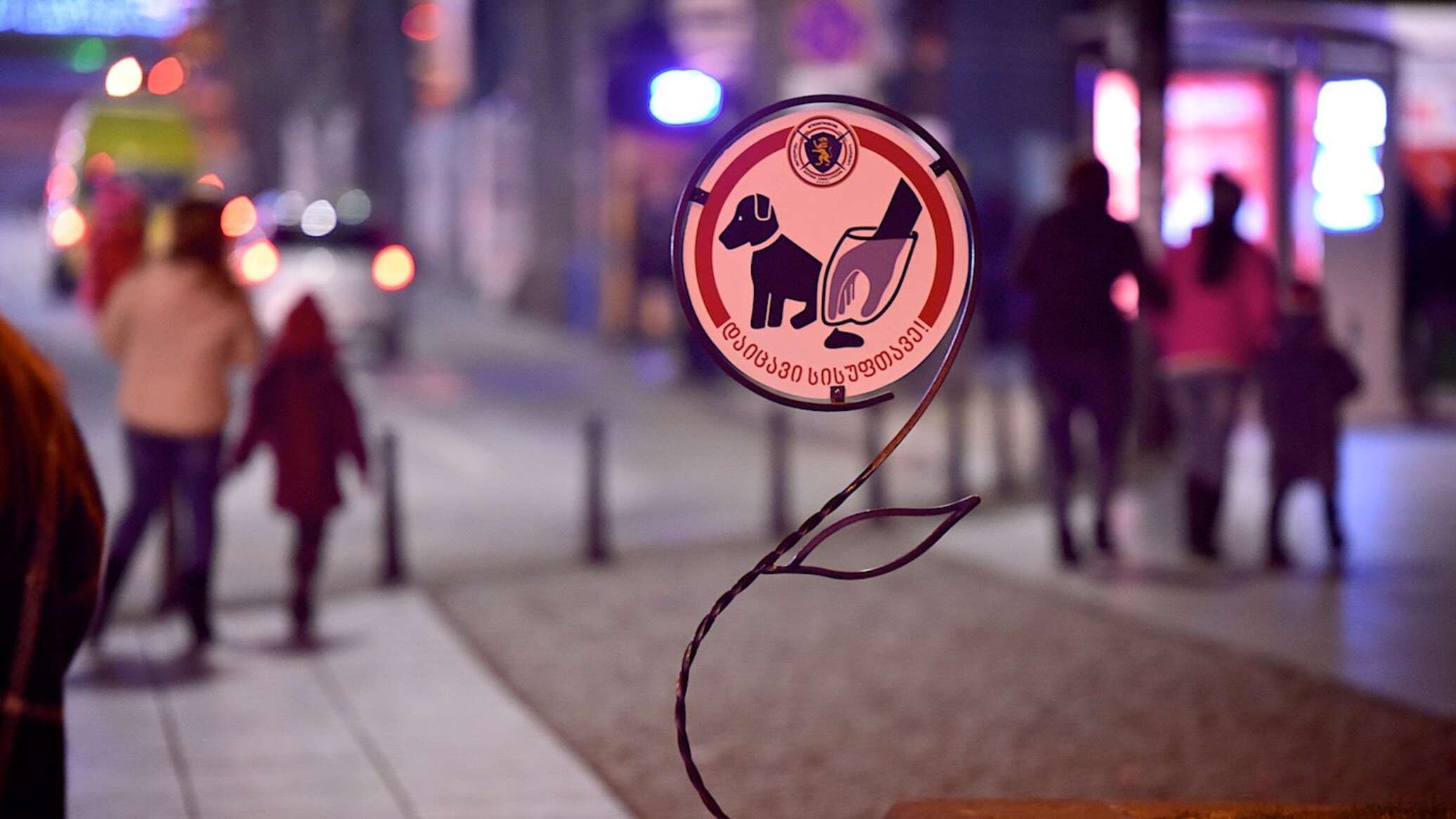 Владельцев собак в Тбилиси учат правильно выгуливать питомцев и следить ...