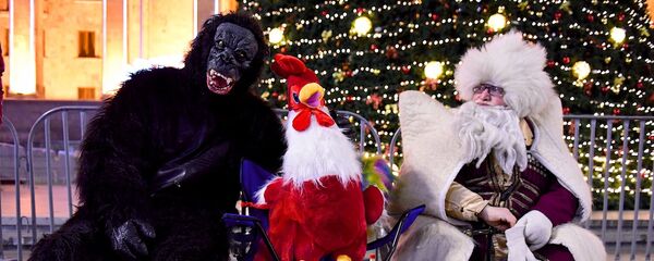 У главной новогодней елки Грузии в Тбилиси можно сфотографироваться не только с Дед Морозом, но и с символами уходящего и наступающего года - Обезьяной и Петухом - Sputnik Грузия