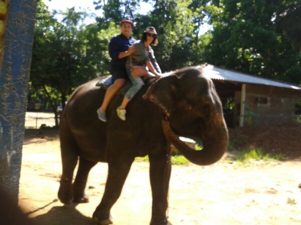 ნიკოლოზ წულუკიძე - Sputnik საქართველო