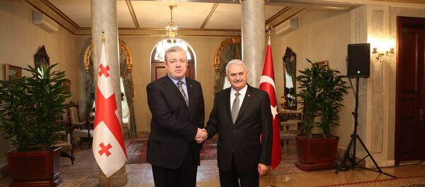 გიორგი კვირიკაშვილი და ბინალი ილდირიმი - Sputnik საქართველო