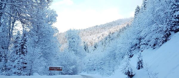ბაკურიანი ბაკურიანი - Sputnik საქართველო