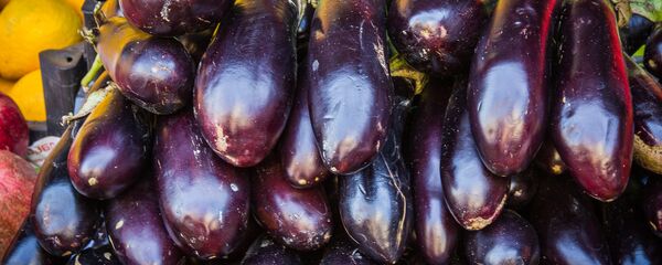 ბადრიჯანი ბადრიჯანი - Sputnik საქართველო