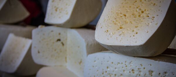 Сыр - Sputnik Грузия