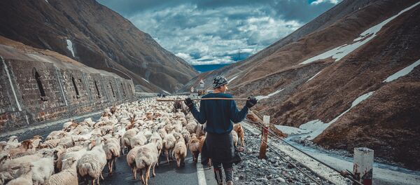 საქართველო საქართველო - Sputnik საქართველო