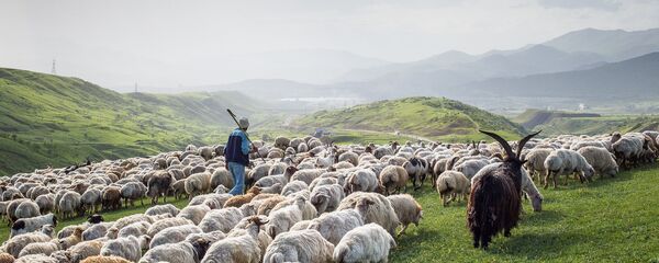 Фотография из цикла Перегон (Грузия) - Sputnik Грузия