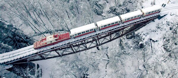 Обновленный поезд на железной дороге между Боржоми и Бакуриани - Sputnik Грузия