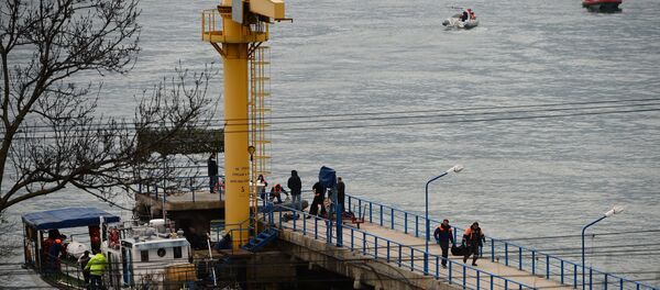 Поисково-спасательные работы на месте крушения самолёта Ту-154 Минобороны РФ в Сочи - Sputnik Грузия