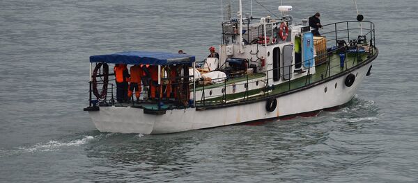 Поисково-спасательные работы на месте крушения самолёта Ту-154 Минобороны РФ в Сочи - Sputnik Грузия