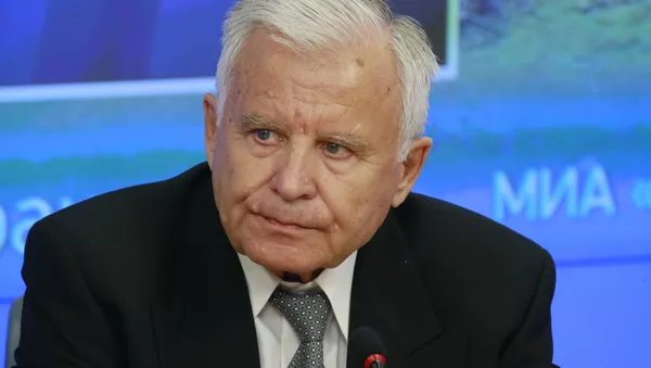 Председатель комиссии по гражданской авиации Общественного совета Ространснадзора, заслуженный пилот СССР Олег Смирнов, архивное фото - Sputnik Грузия
