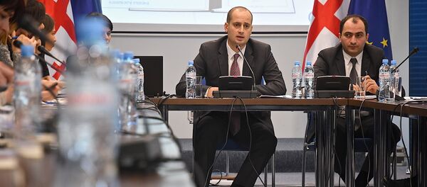 Глава МИД Грузии Михаил Джанелидзе на пресс-конференции - Sputnik Грузия