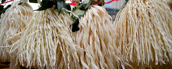 ჩიჩილაკი ჩიჩილაკი - Sputnik საქართველო