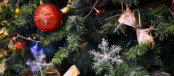 Игрушки и украшения на новогодней елке - Sputnik Грузия