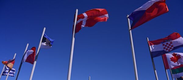 Флаги стран НАТО на территории учебного центра Грузия-НАТО JTEC на военной базе в Крцаниси - Sputnik Грузия